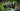 Hattingley Valley English Sparkling Wine | Jake Vine's