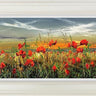 Fields Of Gold by Kimberley Harris