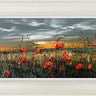 A New Dawn by Kimberley Harris