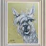 Alfie by Amy Louise