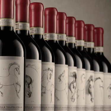 Falezze Amarone Della Valpolicella Riserva 2015 Art Collection
