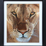 Amber Gaze by Martin Robson