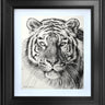 Amur Tiger Study by Martin Robson