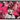 Barbie Pink by Chuck