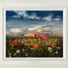 Captivating Vistas by Kimberley Harris
