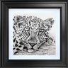 Cool Cat Study by Martin Robson