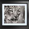 Crystal Gaze Study by Martin Robson