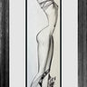 Dressed Up Cat II- Original Study by Andrei Protsouk