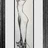 Dressed Up Cat - Original Study by Andrei Protsouk