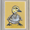 Duck by Amy Louise