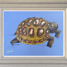 Easy Does It Commission by Amy Louise