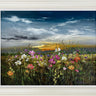 Echoes Across The Pasture by Kimberley Harris