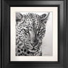 Emerald Gaze - Study by Martin Robson