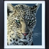 Emerald Gaze by Martin Robson