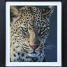 Emerald Gaze by Martin Robson