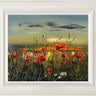 Evening Love by Kimberley Harris