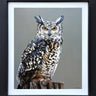 Eyes Of The Wilderness by Martin Robson