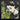 Fashion Jungle VI by Linda Charles
