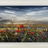 Field Of Dreams by Kimberley Harris