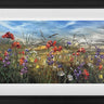 Field Of Dreams by Kimberley Harris