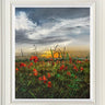 Field Of Tender Dream by Kimberley Harris