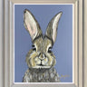 Funny Bunny by Amy Louise