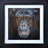 George by Martin Robson