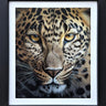 Golden Gaze by Martin Robson