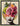 Harmonia by Chuck