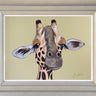 Jeffery by Amy Louise