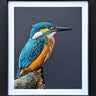 King Of The River by Martin Robson