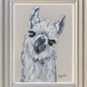 Lucy Llama by Amy Louise