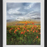 Remembering by Kimberley Harris