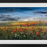 Sunlit Meadows by Kimberley Harris