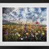 Tranquil Moments by Kimberley Harris