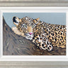 On The Prowl by Amy Louise