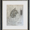 Paradise Daisy - Sketch by Laurence Llewelyn-Bowen
