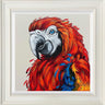 Polly by Amy Louise