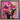 Poppy's Pink by Chuck