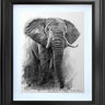 Pride Study by Martin Robson