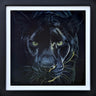 Prince's Gaze by Martin Robson