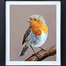 Red Robin by Martin Robson