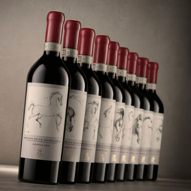 Falezze Amarone Della Valpolicella Riserva 2015 Art Collection