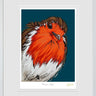 Rockin Robin by Amy Louise