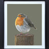 Rosie by Martin Robson