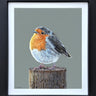Rosie by Martin Robson