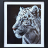 Sapphire Gaze by Martin Robson