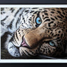Sapphire by Martin Robson