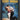 Scent Of A Woman by Linda Charles