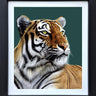 Silent Hunter by Martin Robson